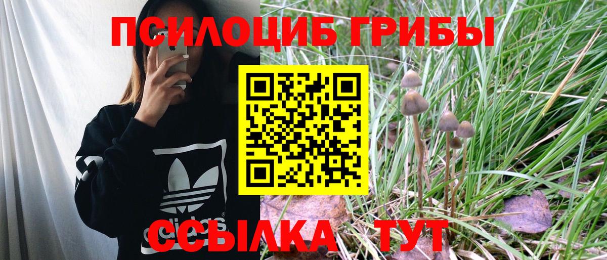 Галлюциногенные грибы мицелий  Псилоцибиновые грибы MAGIC MUSHROOMS  Вход с VPN  Гусев 